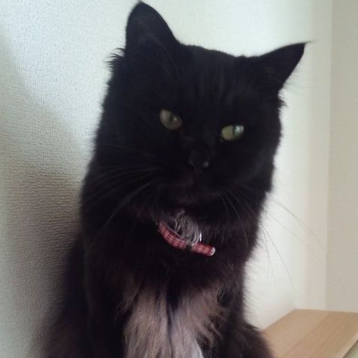 93078193 9cda 4ded b5c6 3834bfac0633 1570361269277