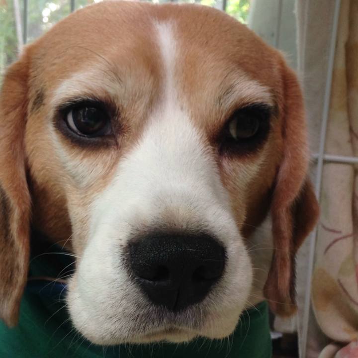 93078799 734f 47fa a277 f5b69a2ee8ae 1727223086510