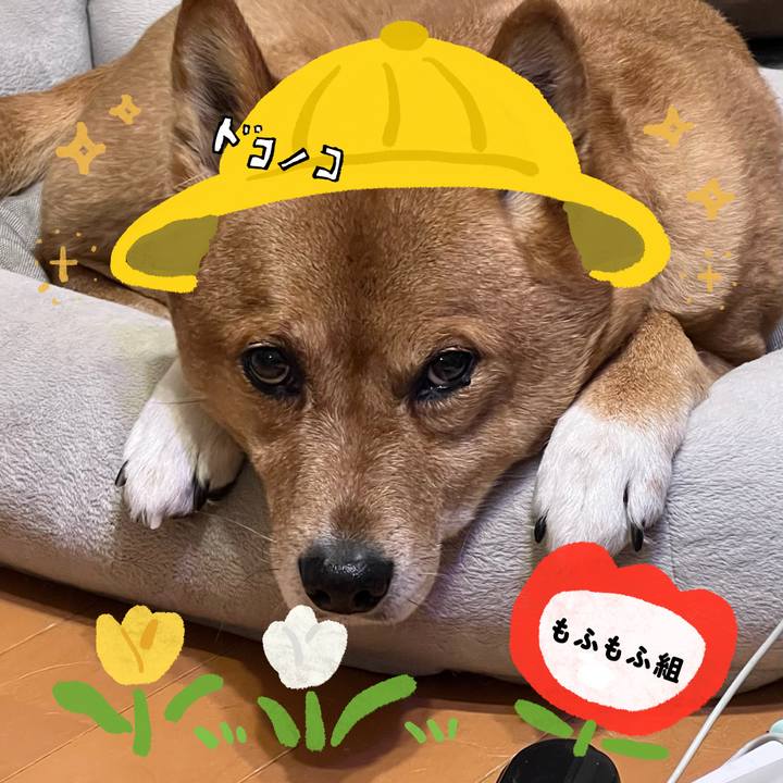 93079a1d 7b4c 4857 a8fb ca0c2dbba33b 1712285278626