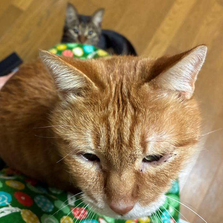 9307cdf1 442d 4f5a 9314 ab118ef967ee 1767877191013