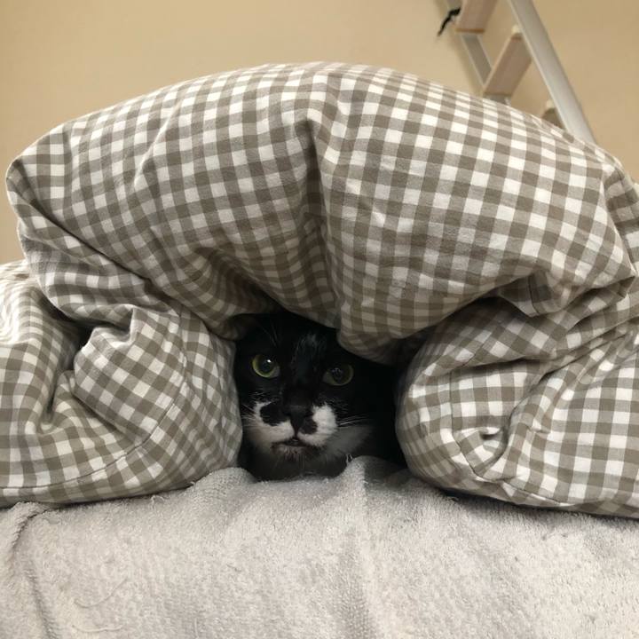 9307ce50 0405 4289 a88d d9bff7972b77 1604452343371