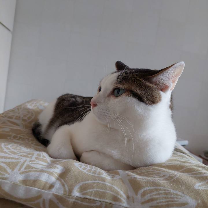 9307d7db 1340 4ce5 bf72 1fef3259e14e 1724797854596