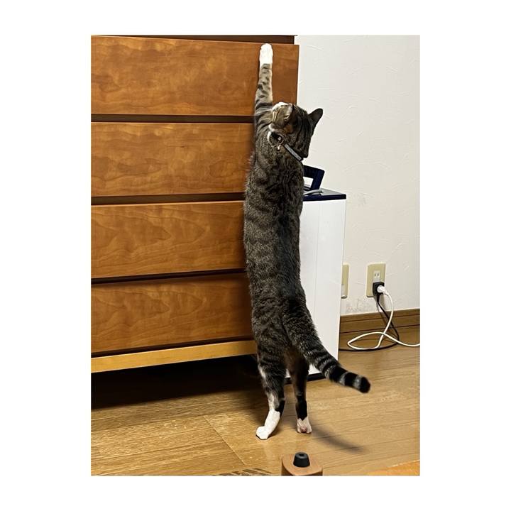 9307e5a9 cb72 486e 8f84 4a509409df1d 1773880122035