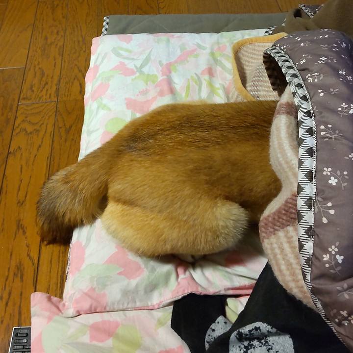 930831ef 9740 4681 906d 3c52fe44eb8e 1641253072437