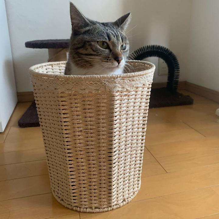 93085f92 a095 4a80 90bd 9d64eefc5465 1582324077795