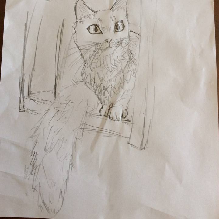 9308a463 827e 4a2c af60 787a3122a3a0 1565052265124