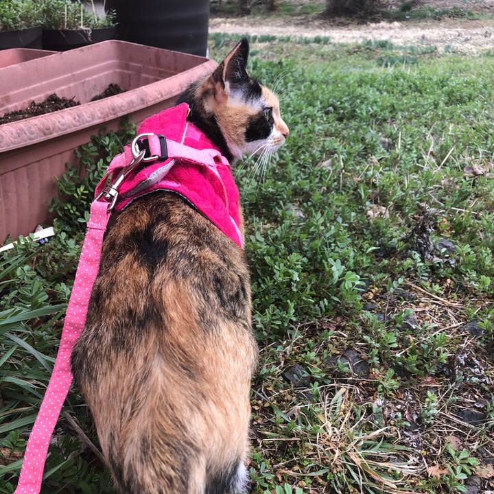 9308a773 00b2 464b 8403 e49e657a71b4 1583814765189