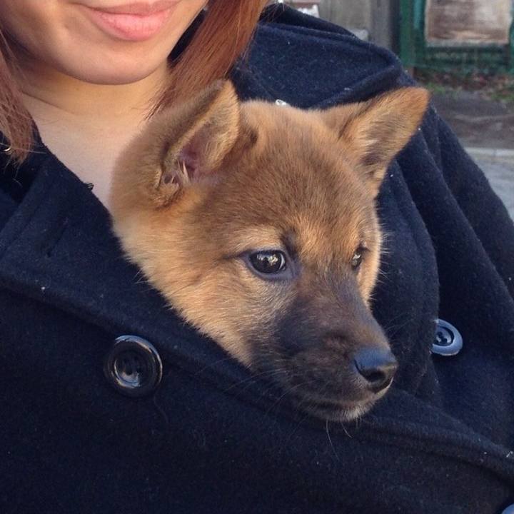 9308c688 ecbb 4065 a79b f8468b0f574c 1772493258246