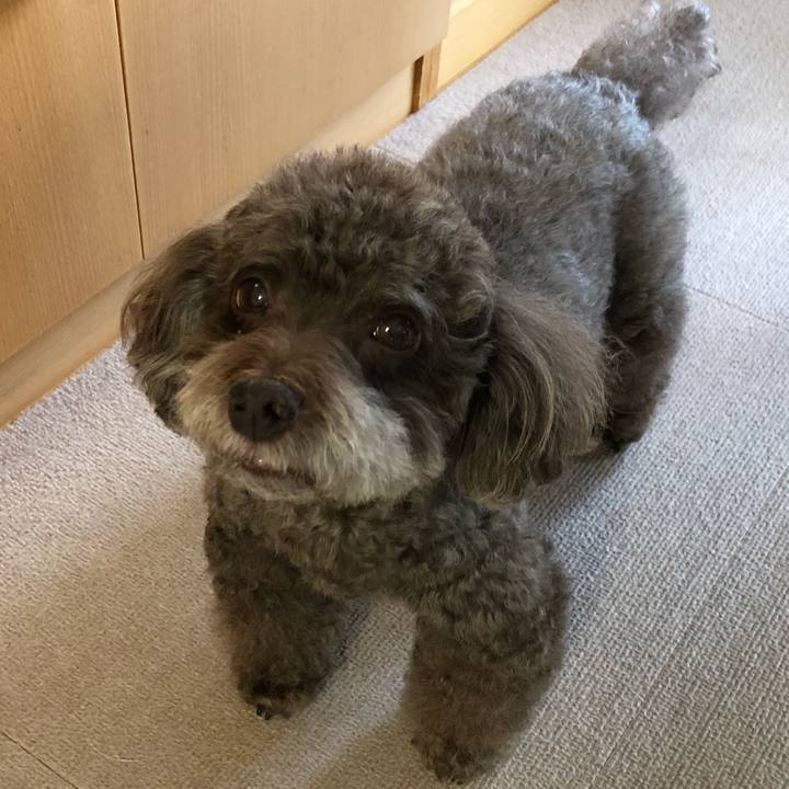 930951b1 ad28 489d 97f1 7fa7646d1871 1566395057491