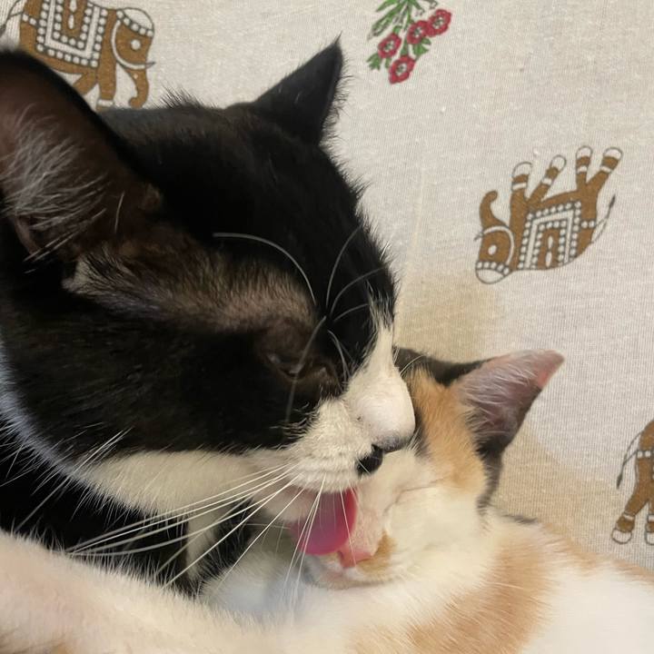 93095df5 b062 4285 81bb 428c5ddad4d2 1664285576221