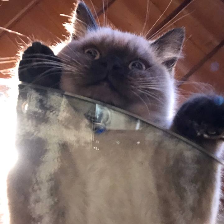 93096685 17dd 4600 8d94 e6762f583571 1588635436859