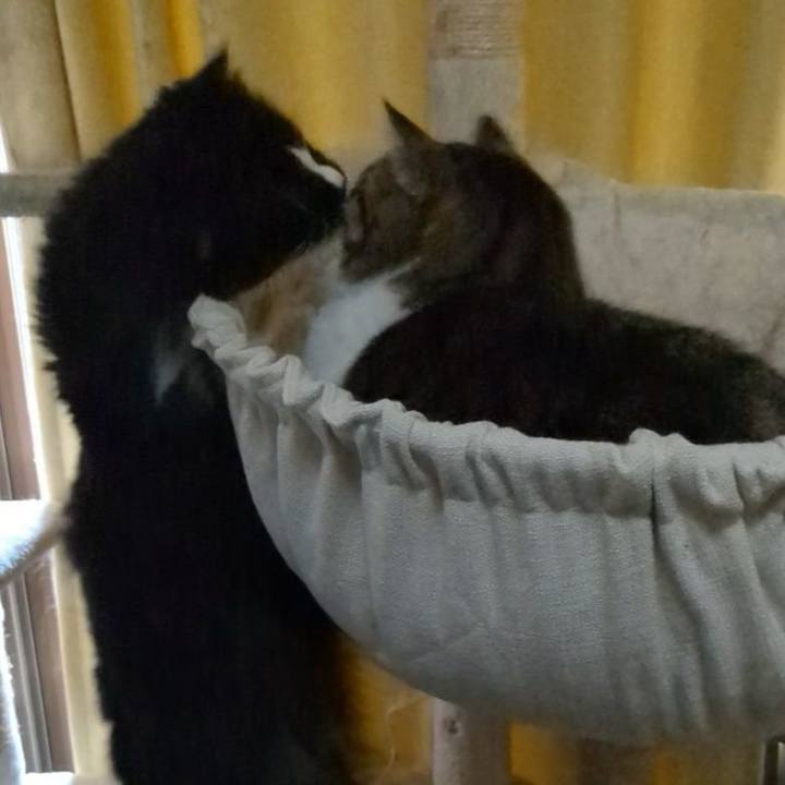 930971d2 8e23 4bbb 96f9 d7e36e0ec972 1742854174699