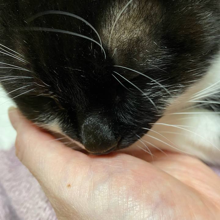 93098aa2 398f 4010 82c8 c76f756e65be 1641643719134