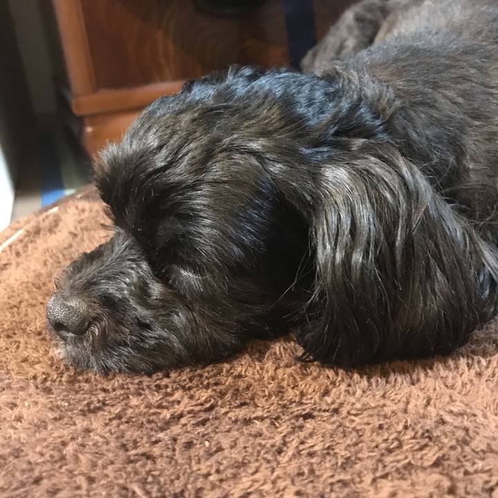 9309bcf8 5155 4f24 92b1 96f4ac72364d 1526478854780