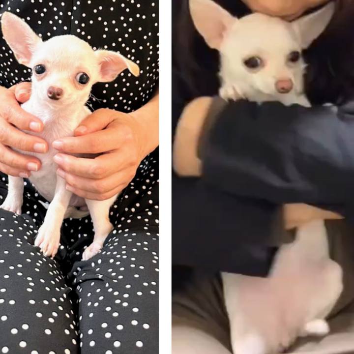 9309c9e8 aab6 4526 a24f d7ac49cf8dfc 1709027766646