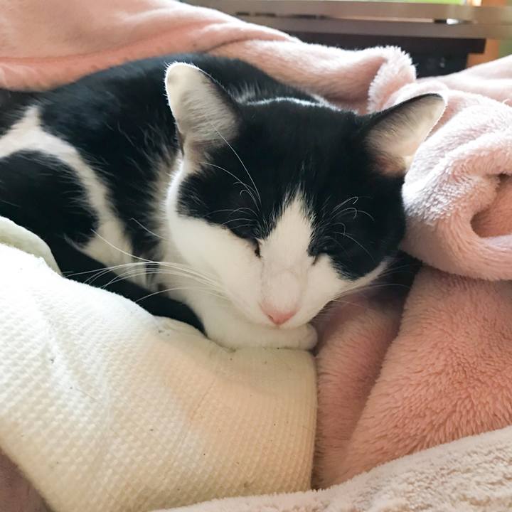 9309d8e3 95b7 402b 9a88 277ac349111f 1514106426291