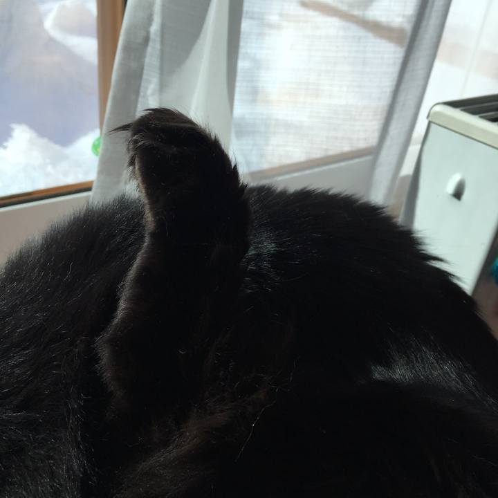 9309f617 7dfc 4df1 91c8 1a507d1392b2 1548829997815