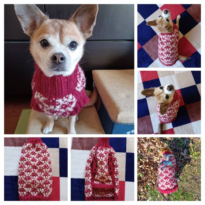 930a1720 fc95 4a45 96c0 01eebe3bbe7e 1768259067878