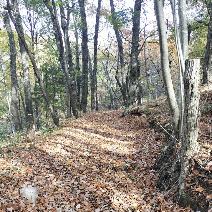 930a2b83 2c02 41c3 86de 61953d985b5a 1732784391280