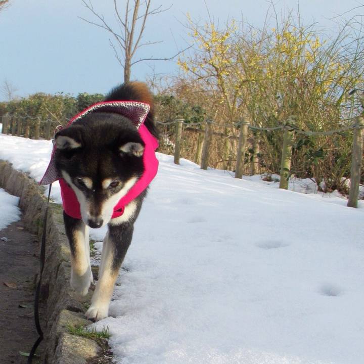 930a33f4 bb55 4f72 9505 098f3f999096 1548807979551