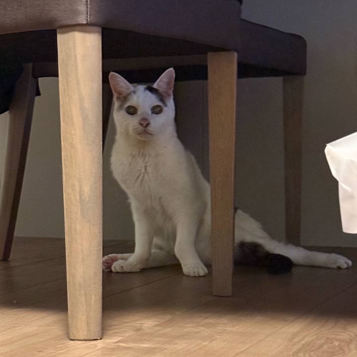 930a6c90 6cda 4138 878d b7a6cd2bd649 1761907184642