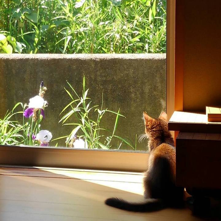 930a865a 03ac 45a9 beec e329eeb14d88 1682072118704