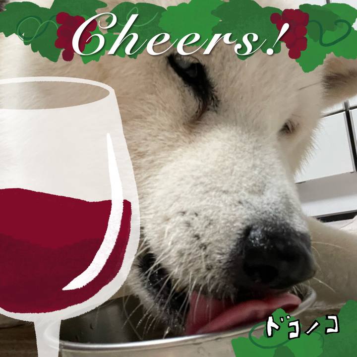 930ad1f7 32d6 40b6 9546 e41a20eb5603 1762812620571