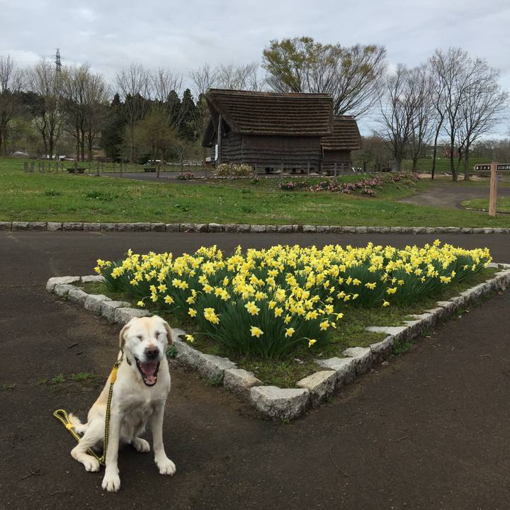 930af322 0bc9 463c 902a 22c48b4dee85 1618963195051