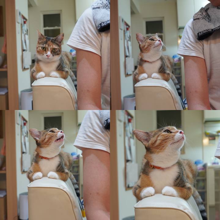 930b0675 06fb 41b7 87e9 2edb9790f192 1592118032598