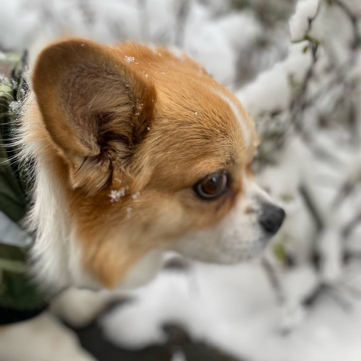 930b1790 37a7 4efe b23e 04000aef0649 1770516779666