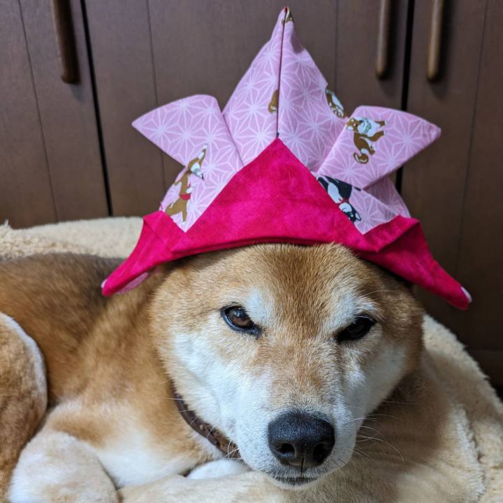 930b4c14 d578 4238 8966 f266bce759c8 1712639579573