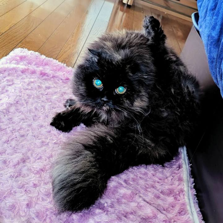 930b720d 48c5 4d2c b331 c808dd225214 1772507380921