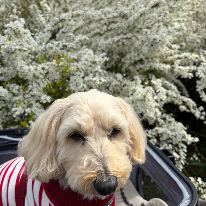 930b8a59 be84 41c5 bce9 31ee0d544cc5 1774330007175