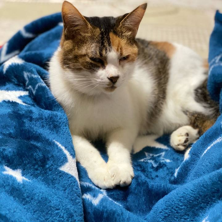 930bd7ed 933d 4a0d ad70 cd1a00c9d445 1602905467910