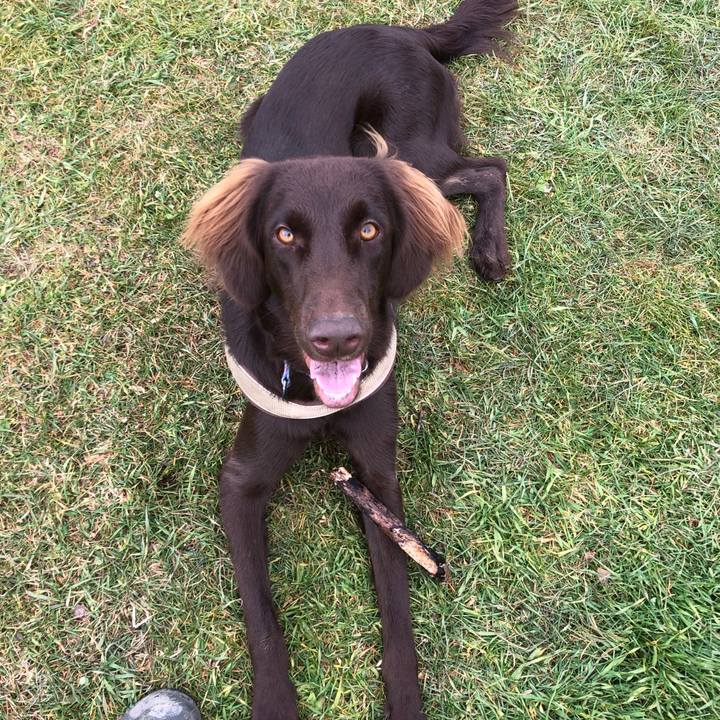 930beb83 2158 417b b67d 2855c8d42d1a 1574656489518