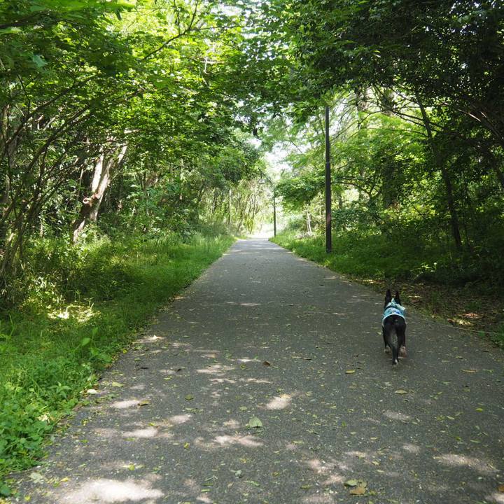 930c49a3 91ce 4d1b 985e cb1732a172e3 1557641800288