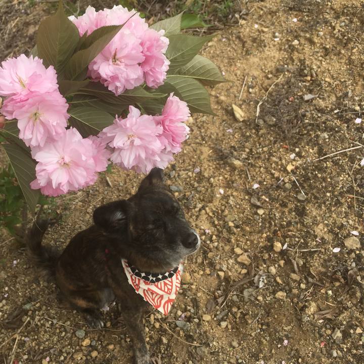 930c5931 350c 4e79 8763 e192424b7478 1555498214085