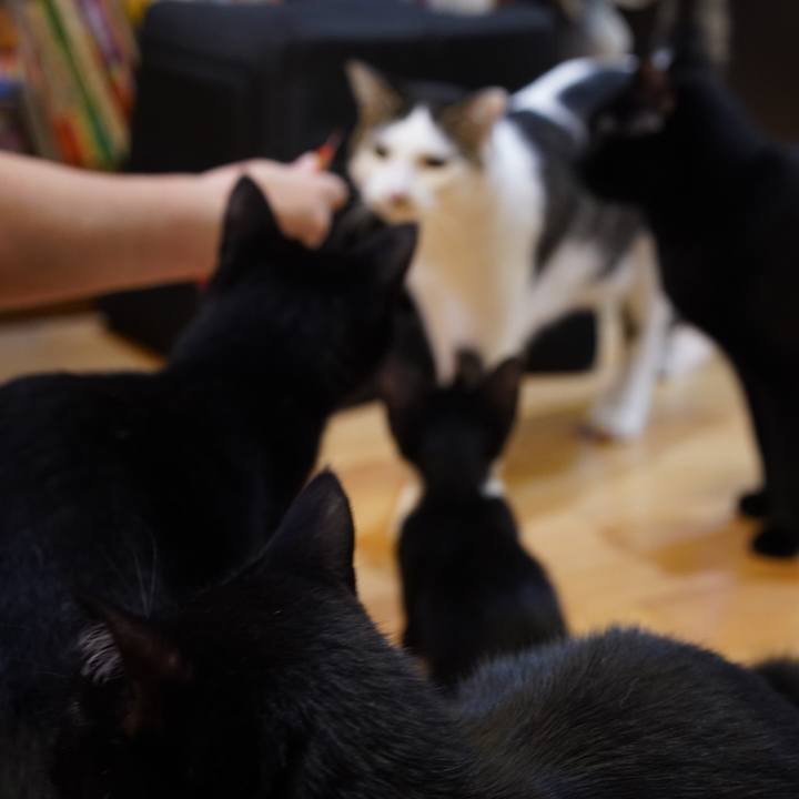 930c78a4 8c42 4bbb b6ae aa6d5ac50fc6 1567691612806