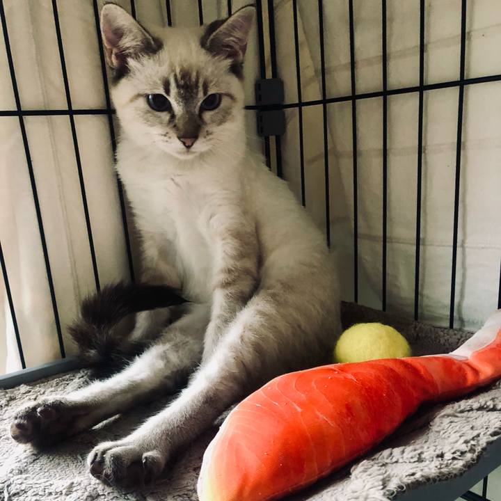 930c9a61 05e2 4d78 9516 6bbe684792bb 1728343872031