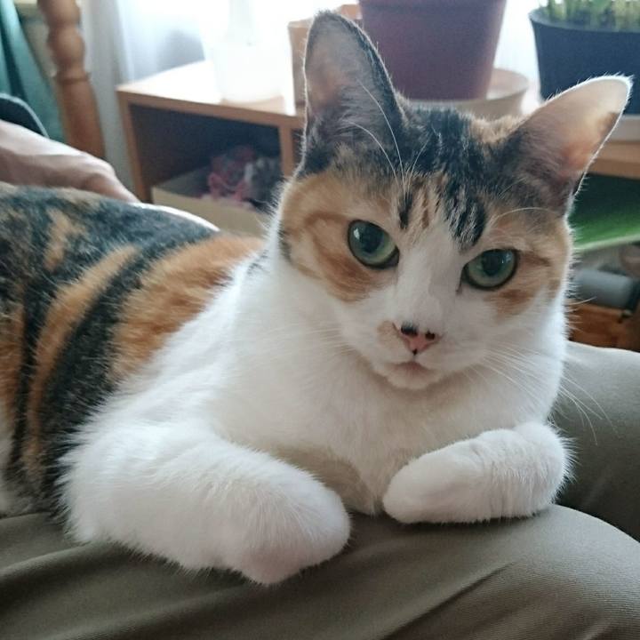 930cab6f 6627 40b7 a8cc dcadee01cd48 1578012354560