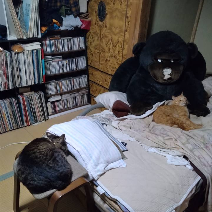 930cc50a c111 4c41 9253 0953149db6dc 1746525435987