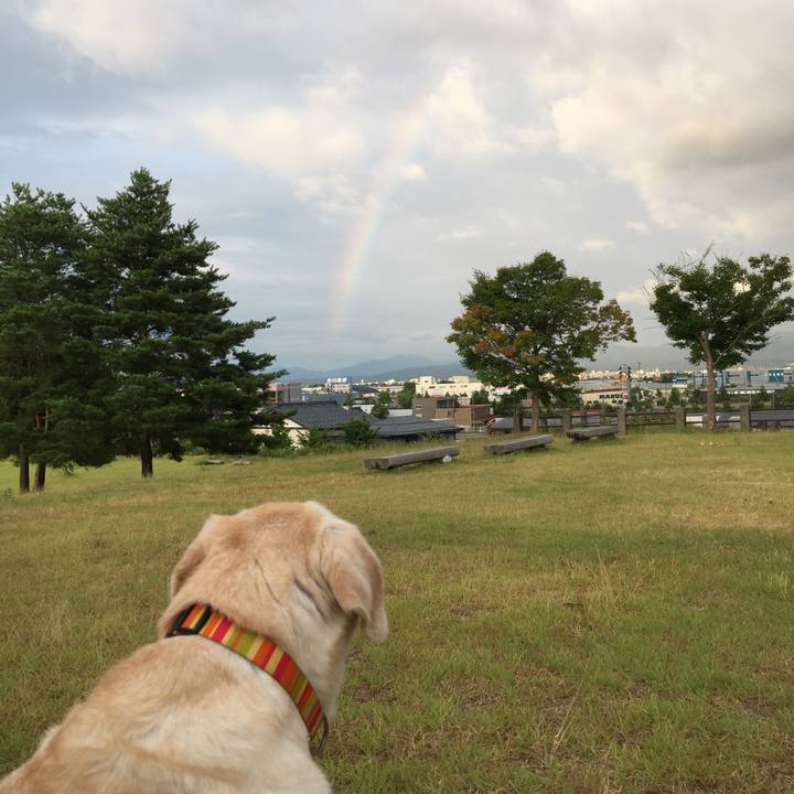 930cd598 e364 4068 97a9 12dbb6aa1058 1533633851550