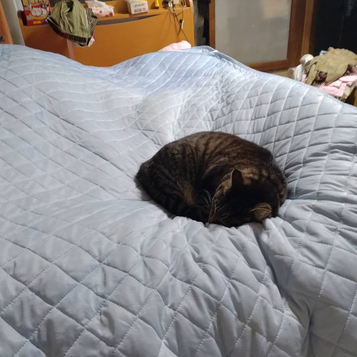 930d02b3 82e8 4a9c b252 2b11ab04d62a 1713354787171