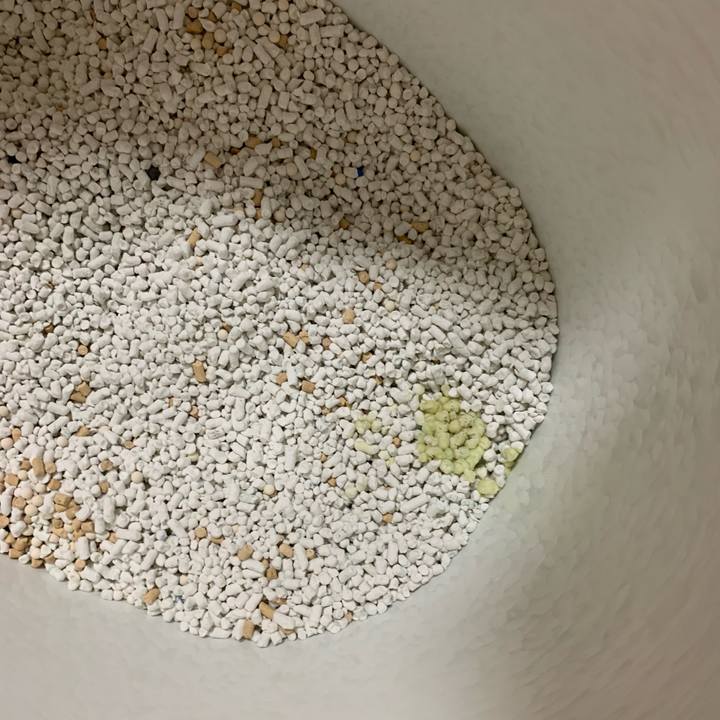 930d293b 3ea4 4e6f a70f cb76c24fd2fc 1562761622837