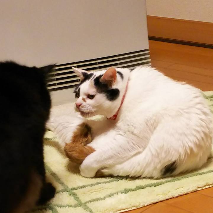 930d2ada b3c5 4081 88c3 1a95849571ef 1509445426313