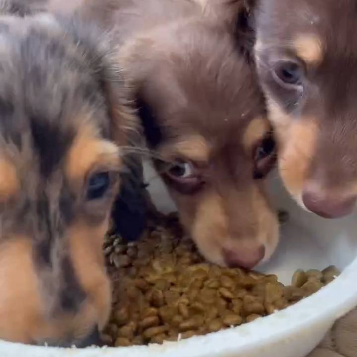 930d5c3f 7708 46df 9082 23166a121a49 1697066717886