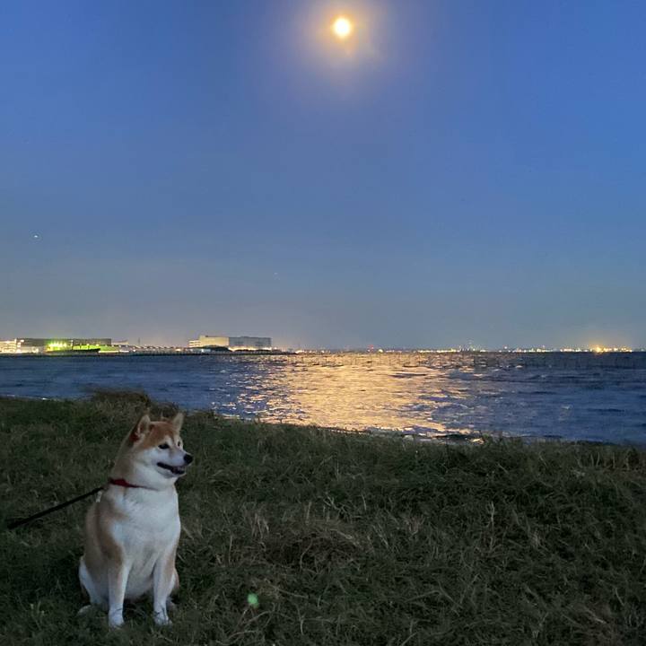 930d60f1 5d3d 4523 9ad3 429952618f14 1598788650467