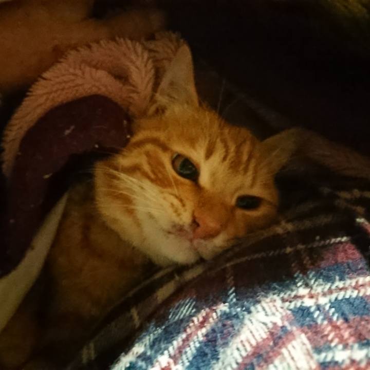 930d698e 4438 4eac a08c 293bfc1df64c 1640206716772