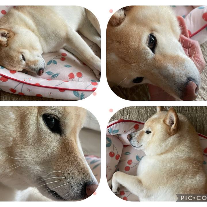 930d7800 4214 4d2f 97e0 b9952c859fb3 1718597131782