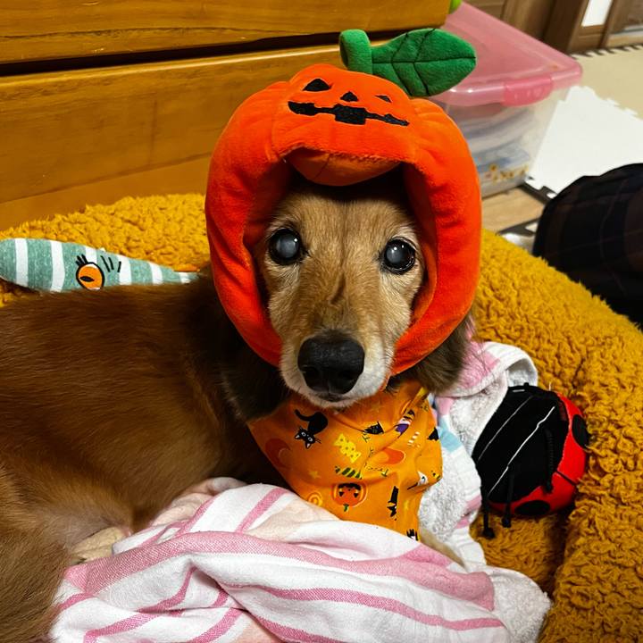 930d7bd0 92a6 4492 acec 5111aab9e502 1667223844919